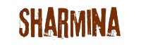 Digital Marketer